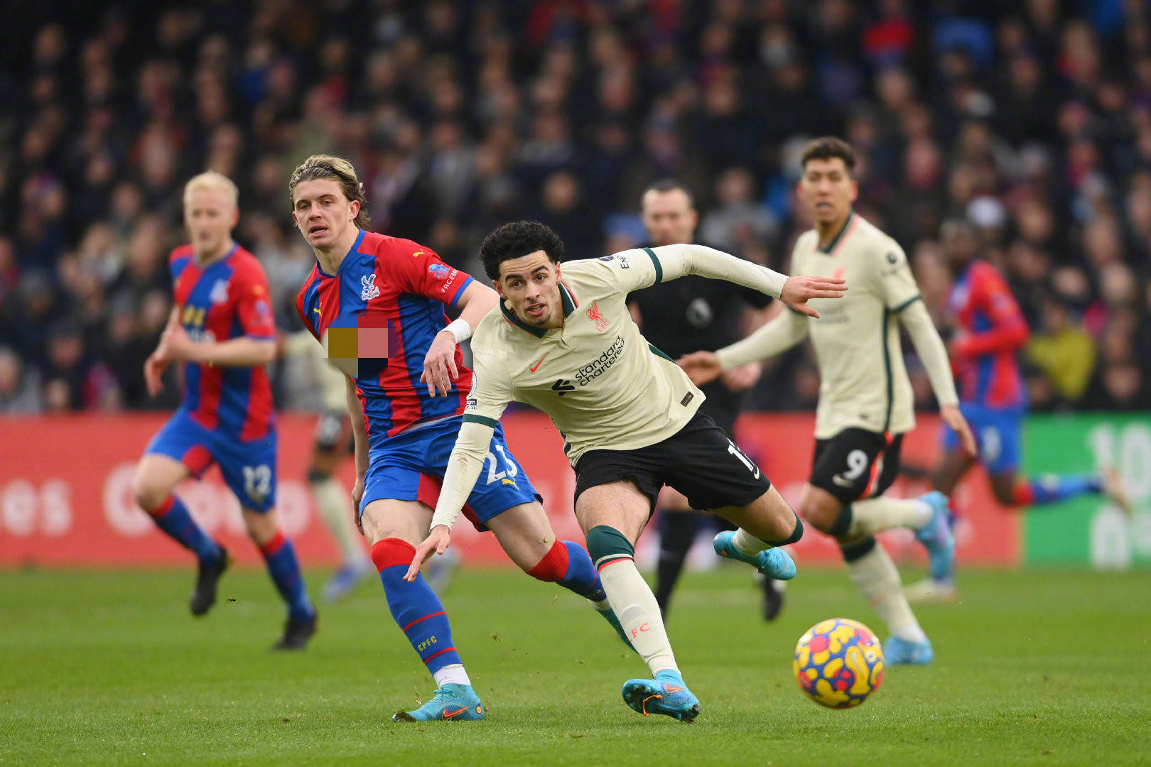 汇聚了全球 汇聚了全球